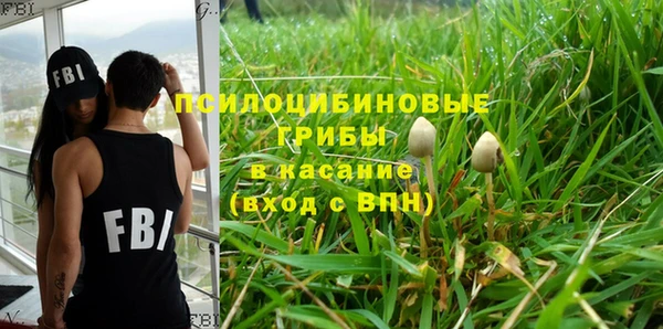 тгк Абаза