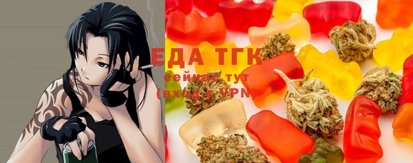 тгк Абаза