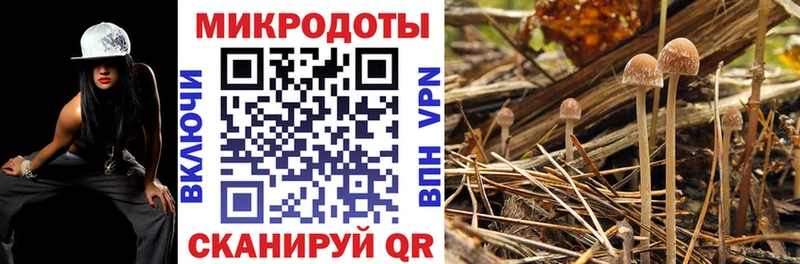 Галлюциногенные грибы мухоморы  блэк спрут ссылка  Тюмень 